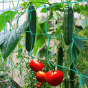 Plasă de protecție pentru grădină 180 x 360 cm Plasă verde din poliester cu ochiuri de 10 cm Rezistentă la intemperii Protecție pentru plante și culturi 2