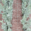 Plasă de protecție pentru grădină 180 x 360 cm Plasă verde din poliester cu ochiuri de 10 cm Rezistentă la intemperii Protecție pentru plante și culturi 3