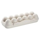 Plastic Egg Container C709 2