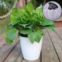 Plastic Flower Pot C956 5