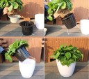 Plastic Flower Pot C956 8