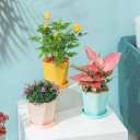 Plastic Flower Pot with Saucer 11
