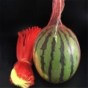 Plastic Mesh Bag 20 pcs 2