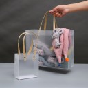 Plastic Transparent Bag 10 pcs 4