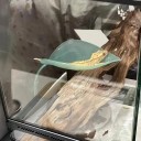 Plastisk blad med sugekop 7,2 x 18,5 cm til krybdyr, terrariedekoration, varmeplatform til krybdyr 4