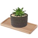 Plateau en bambou pour pot de fleurs Plateau rectangulaire avec rebord surélevé et coins arrondis Pour petites plantes d'intérieur Dimensions 17,5 x 3