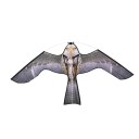 Plausível de aves maqueta de predador C873 2