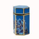 Plechová dóza na čaj a kávu se vzduchotěsným víkem 15×8 cm kovová krabička se vzorem tradiční čínské malby zlatá pro skladování 4