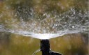 Plug-in sprinkler 15 stk. H986 3