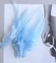 Plumes de coq décoratives 10-15 cm 50 pcs 23