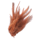 Plumes de coq décoratives 10-15 cm 50 pcs 6
