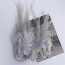 Plumes de coq décoratives 10-15 cm 50 pcs 10
