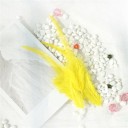 Plumes de coq décoratives 10-15 cm 50 pcs 17