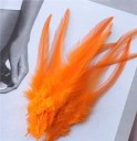Plumes de coq décoratives 10-15 cm 50 pcs 24