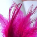Plumes de coq décoratives 10-15 cm 50 pcs 2