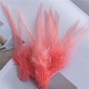 Plumes de coq décoratives 10-15 cm 50 pcs 30