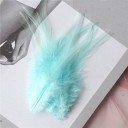 Plumes de coq décoratives 10-15 cm 50 pcs 31
