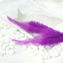 Plumes de coq décoratives 10-15 cm 50 pcs 5