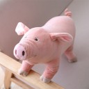 Plush Pig 2