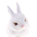 Plysch hare 4