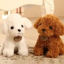 Plyshund 18 cm 3