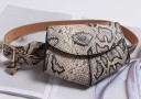 Pochette pour femme T828 5
