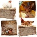Podložka do hnízda pre sliepky z kokosových vlákien s absorpciou vlhkosti 25 x 25 cm prírodná hnedá pre kuriatka a znášku vajec 4