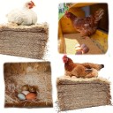 Podložka do hnízda pro slepice z kokosových vláken s absorpcí vlhkosti 25 x 25 cm přírodní hnědá pro kuřata a snášku vajec 4