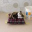 Poduszka dekoracyjna z kotem 5