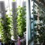 Pohárik na hydroponické pestovanie 10 ks 6