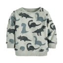 Poikien collegepaita dinosauruksilla 4