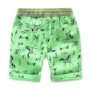Poikien printtikuvioiset shortsit J2533 5