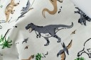 Poikien shortsit dinosauruskuviolla J1329 12