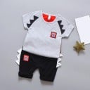 Poikien T-paita ja shortsit L1103 3
