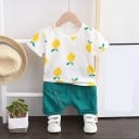 Poikien T-paita ja shortsit L1622 5