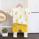 Poikien T-paita ja shortsit L1622 2