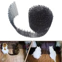 Pointes anti-chats 4
