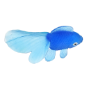 Poissons d'eau pour enfants 10 pcs 2