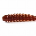Poissons en caoutchouc ring shad 8 cm 2,6 g Paquet de 10 pièces Appâts souples avec sel et micro-rainures Pour la pêche au leurre 6