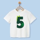 Pojkes födelsedag t-shirt B1538 16