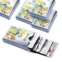 Pokemon-Karten VMax Pack Shiny Pokemon-Karten Pokemon-Sammelkarten-Set Silber 55-teilig 2