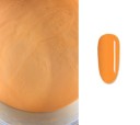Polvere acrilica per unghie 100 g 11