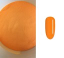 Polvo acrílico para uñas 100 g 10