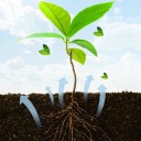 Polvo de raíces para el apoyo al crecimiento de raíces 50 g Mezcla en polvo para el enraizamiento de plantas Tarro blanco 6,5 × 4 cm para el cultivo 3