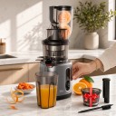 Pomalý odšťavňovač BioloMix 200 W s plnicím otvorem 75 mm Lisování za studena Se sítkem na zmrzlinu Šedý Na ovoce i listovou zeleninu 3