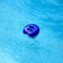 Pool klor flyder med termometer 5