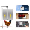 Porta automatica per pollaio con timer e sensore di luce, 30 x 30 cm, alluminio e ABS, 12V DC, argento, per allevamento di polli 2