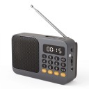 Portable FM Radio 116 x 34 x 71 mm with Bluetooth 5.0 and MP3 Player from microSD and USB with Flashlight and USB-C Charging in Dark Grey 1