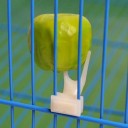 Porte-fruits pour oiseaux A2884 1