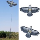 Porte-oiseaux maquette de rapace C873 1